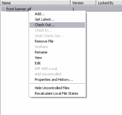 Check Out a File